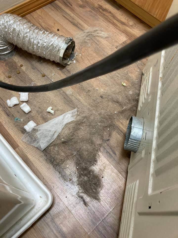 dryer vent cleaning before